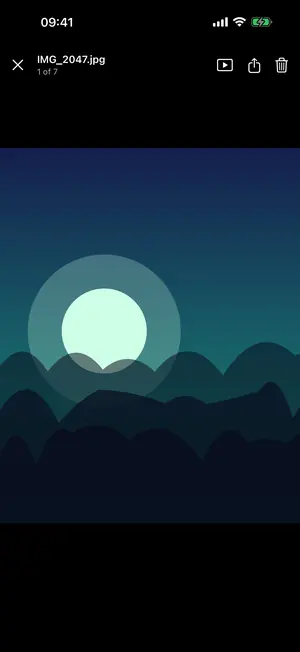 A demo photo open in Vaultron's viewer